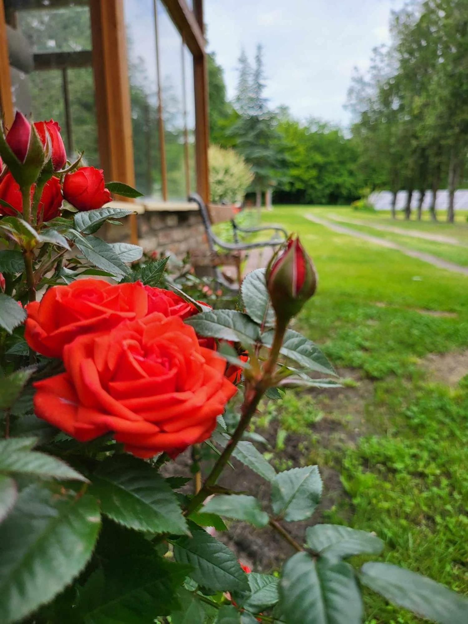 Villa Gyoember Tanya Ásotthalom Exterior foto