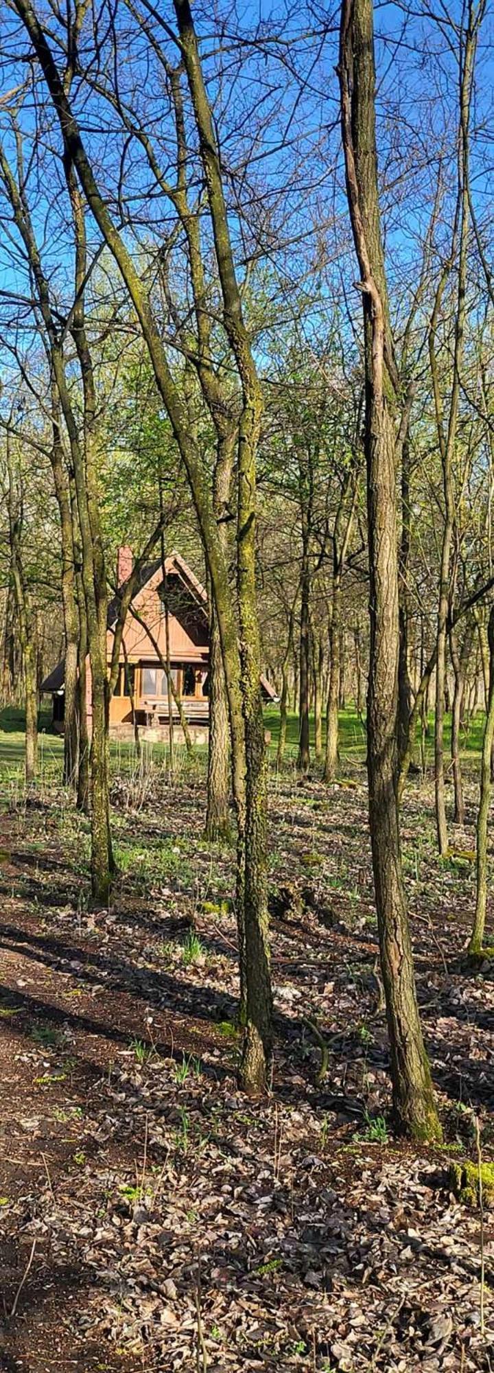Villa Gyoember Tanya Ásotthalom Exterior foto