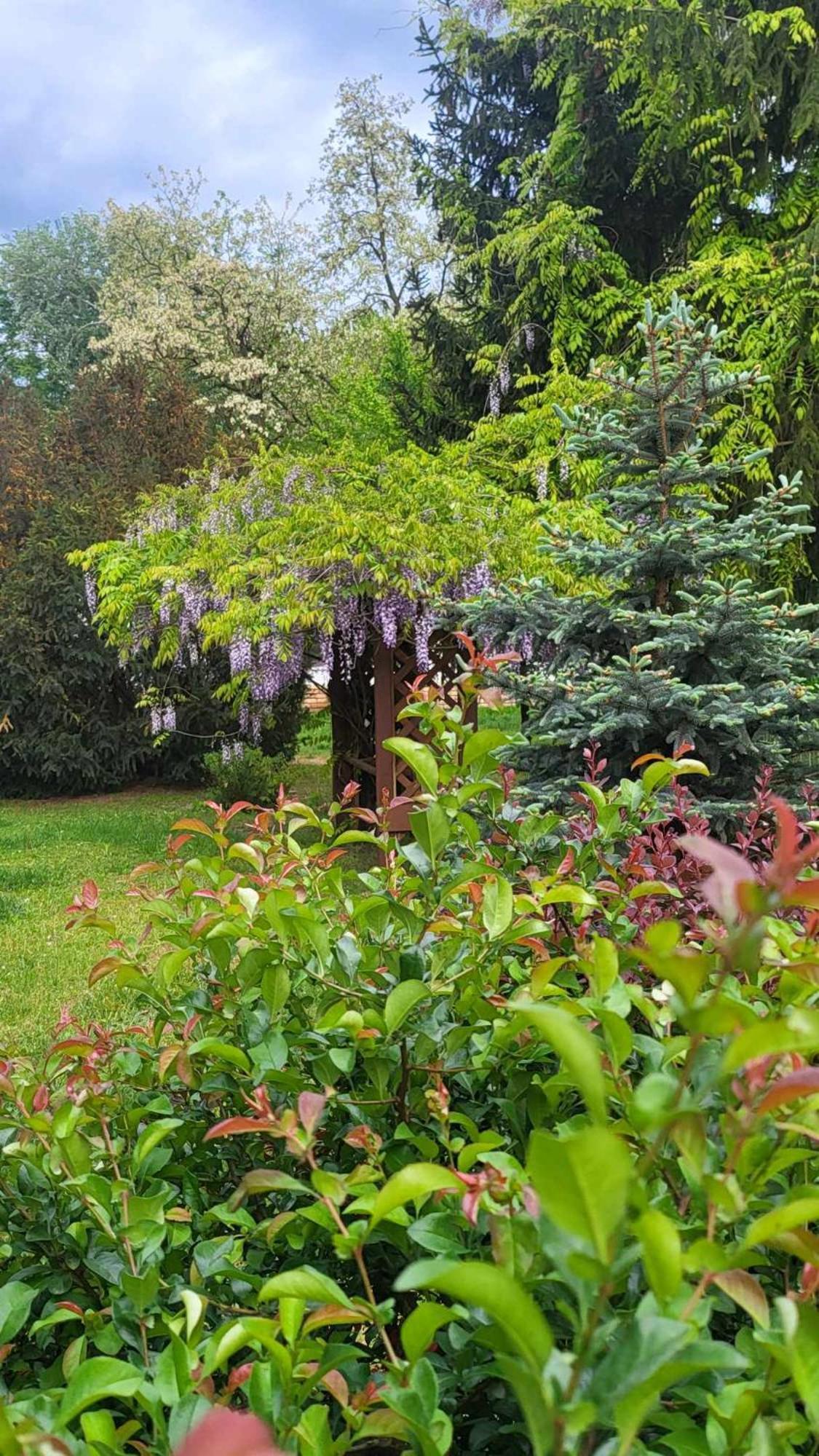 Villa Gyoember Tanya Ásotthalom Exterior foto